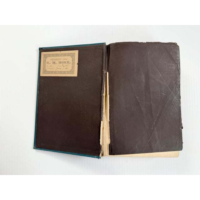1884 the Water World by J W Van Dervoort Illustrated Book About Sea Life, Ghost Ships For Sale In Cleveland - Image 6 of 17