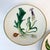 Gorham Vintage Hollywood Regency Gorham Porcelain Plates With Fruit & Vegetables - a Pair. For Sale - Image 4 of 8