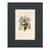 A beautifully cohesive set of six early 19th-century Sowerby seaweed and marine algae prints, each hand-colored and...