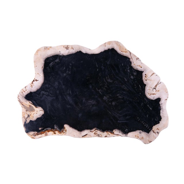 Wood Hand Cut & Polished Petrified Wood Board For Sale - Image 7 of 7