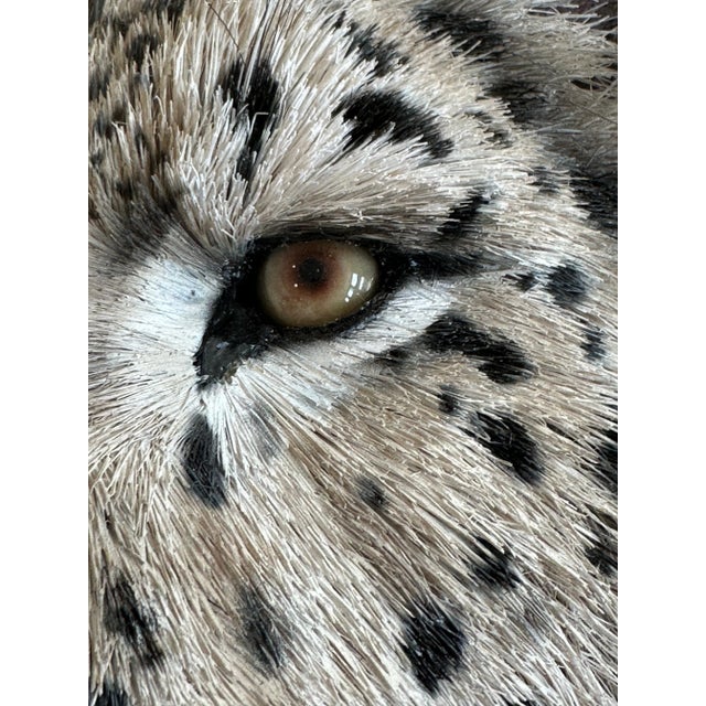 Gray Anne Andersson Sisal Fiber Snow Leopard 2006 For Sale - Image 8 of 12