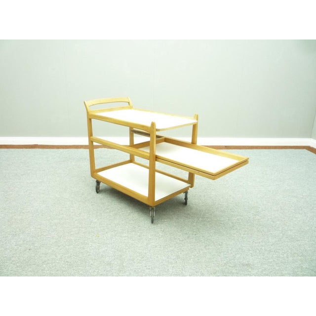 Anthroposophical Bar Cart by Felix Kayser for Schiller Möbel, 1940s For Sale - Image 4 of 12