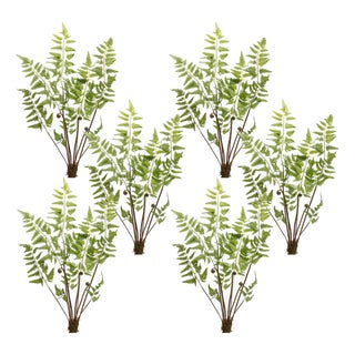 Varigated Fern Bundle with Sprout Accents (Set of 6) For Sale
