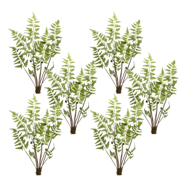 Varigated Fern Bundle with Sprout Accents (Set of 6) For Sale