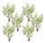 Varigated Fern Bundle with Sprout Accents (Set of 6) For Sale