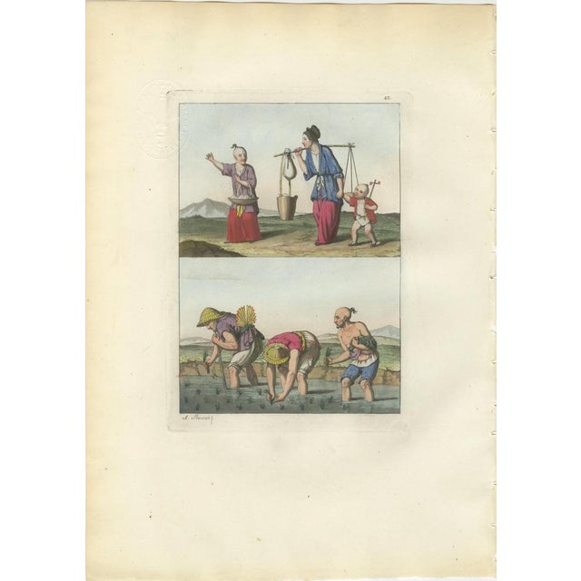 Ferrario, Chinese Agricultural Labor Scenes, Hand-Colored Engravings, 1815, Set of 4 For Sale - Image 3 of 9