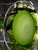 Mid-Century Modern Mid-Century Italian Modernist Chandelier by Gino Vistosi, 1970s Murano Green Glass Disc and Chrome For Sale - Image 3 of 8