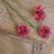 Wood Bench with Iron Brackets For Sale - Image 7 of 10