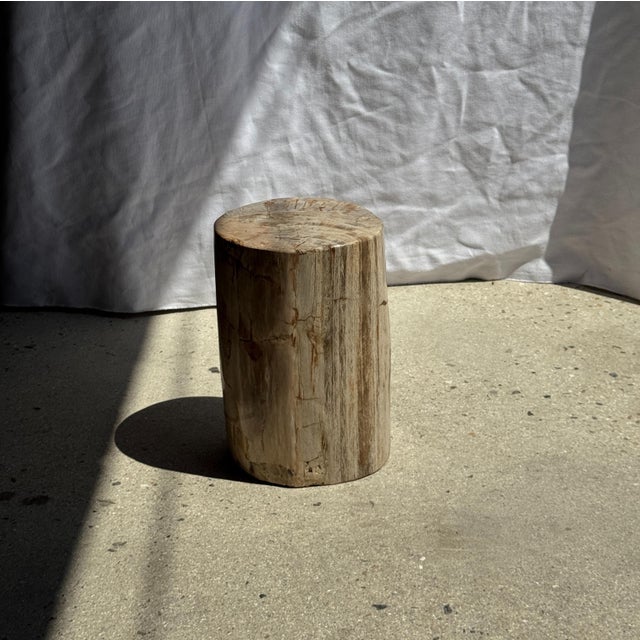 Small Side Table in Petrified Wood, 1980s For Sale - Image 9 of 18