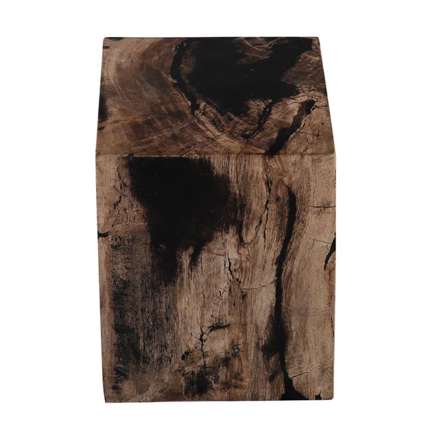 Organic Modern Petrified Wood Stool Accent Table For Sale - Image 4 of 8