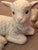 Two vintage porcelain lambs…simply adorable! The flowers around their necks are so delicate and add to the sweetness of...