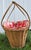 Apple Lined Basket With Handles For Sale - Image 10 of 12