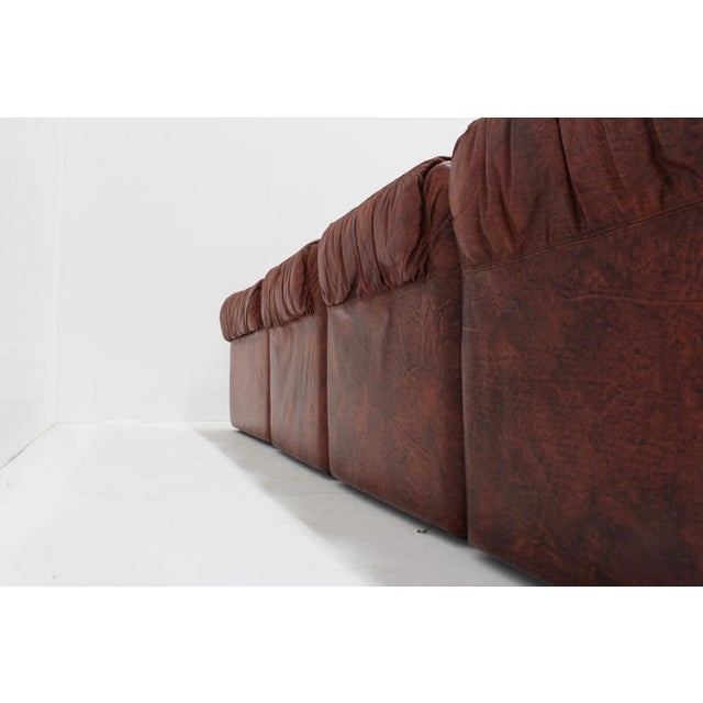 Vintage Seven Modular Sofa in Cognac Leather from Salotti, Italy, 1970s, Set of 5 For Sale - Image 9 of 14