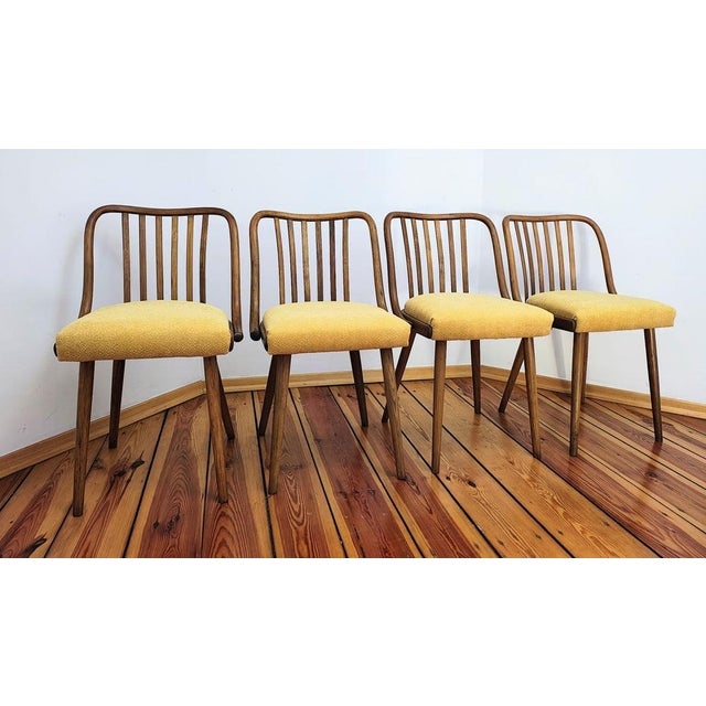 1960s Dining Chairs attributed to A. Suman for Tatra Nabytok, Czechoslovakia, 1960s, Set of 4 For Sale - Image 5 of 18