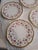 Vintage Cauldon Plates - Set of 6 For Sale - Image 9 of 12
