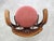 Office Chair from Gebrüder Thonet, 1890s For Sale - Image 10 of 15
