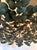 Arteriors Home Arteriors Organic Modern Coconut Shell Bilal Semi-Flush Mount For Sale - Image 4 of 5