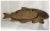 Bronze Antique Art Deco Asian Coy Fish Tray, Bronze Pen Holder, Desk or Vanity Tray For Sale - Image 8 of 8