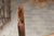 English English 1800s Georgian Period Plum Wood Child's Rocking Chair with Rush Seat For Sale - Image 3 of 11