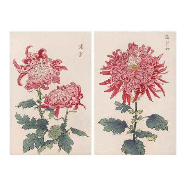 Pink Chrysanthemum Diptych, Vintage Japanese Botanical Art Print (Set of 2), 8" X 12" For Sale