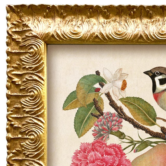 Various Artists Reproduction Vintage Birds and Butterflies Art Print (Bird#1), Framed For Sale - Image 4 of 5