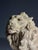 Armand Fagotto, Lion, Terracotta For Sale - Image 5 of 18