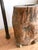 18th Century French Chestnut Mortar & Pestle For Sale - Image 4 of 6