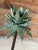 Metal Pair of Tropical Coastal Palm Tree Metal Candlesticks With Verdigris Green Fronds For Sale - Image 7 of 12