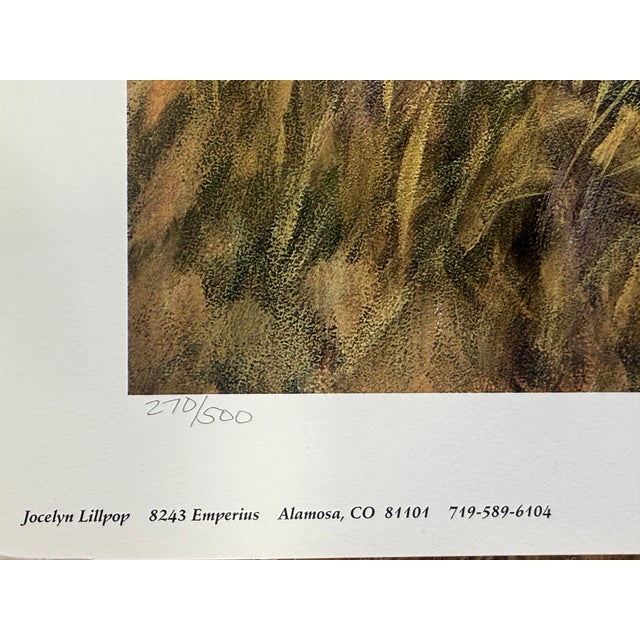 1990s Jocelyn Lillpop Russell Boundary Line Bison Buffalo Yellowstone National Park Signed Numbered American Print For Sale - Image 10 of 11