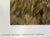 1990s Jocelyn Lillpop Russell Boundary Line Bison Buffalo Yellowstone National Park Signed Numbered American Print For Sale - Image 10 of 11