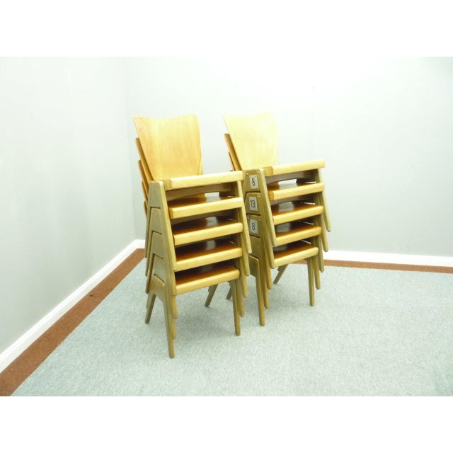 Mid-Century Plywood Stackable Dining Chair from Kaderer München, 1950s For Sale - Image 12 of 13