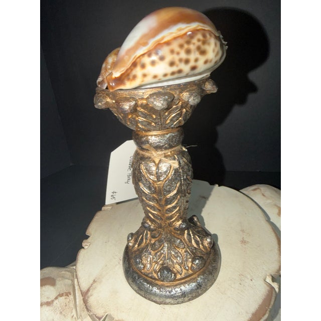 2020s Celestial Meets the Sea Baroque Shells-Coastal Art Sculpture For Sale - Image 5 of 6