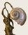 Art Nouveau Lady Nautilus Shell Lamp Circa 1900 For Sale - Image 4 of 12