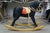 Mid 20th Century Meier Spielwaren German Rocking Horse Toy 35" For Sale - Image 12 of 17