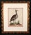 Traditional Johann Seligmann Set of Six Engravings of Water Birds For Sale - Image 3 of 10