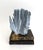 Natural Blue Coral specimen with cut and polished base to protect surfaces. Each piece is cleaned and trimmed from its...