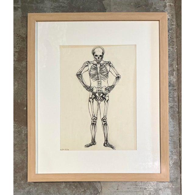 Vintage Framed Skeleton Study on Paper For Sale - Image 12 of 12