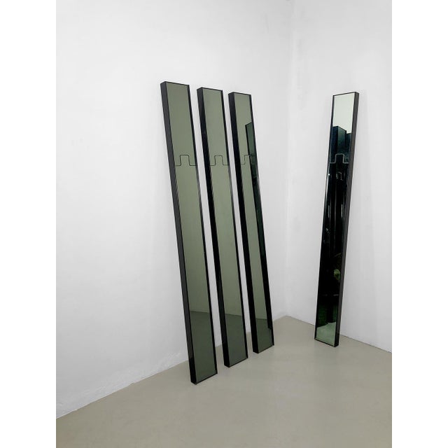 Gronda Wall Mirror Coat Racks by Luciano Bertoncini for Elco, Italy, 1970s, Set of 4 For Sale - Image 4 of 10