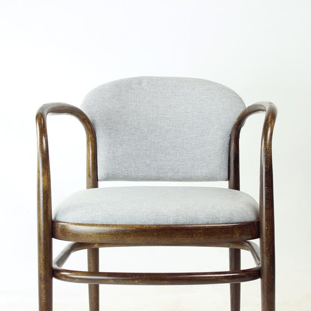 Bentwood Armchair, Czechoslovakia, 1950s For Sale - Image 11 of 11