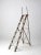 Antique Wooden Ladder For Sale - Image 11 of 11