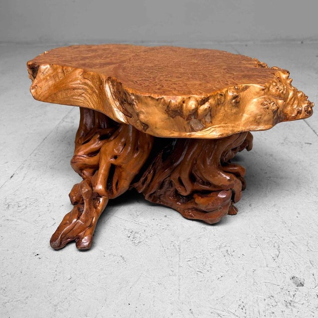 Exceptionally beautiful low plant stand crafted from intricately shaped Yakusugi (屋久杉) root structure (burl wood) from...