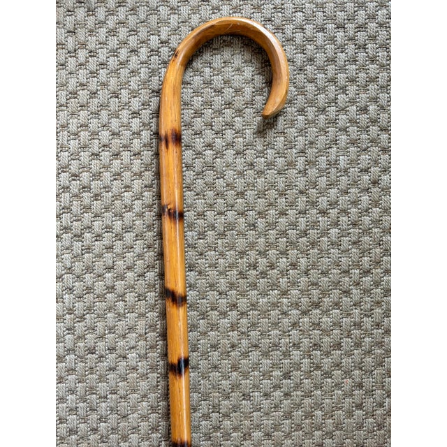 Mid 20th Century Rustic Estate Wood Bamboo Walking Canes - Set of 5 For Sale - Image 9 of 17