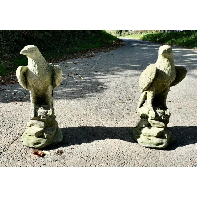 A Pair of Large Old Weathered Eagle Statues or Pillar Caps These are lovely old Eagles, they have a little moss and other...