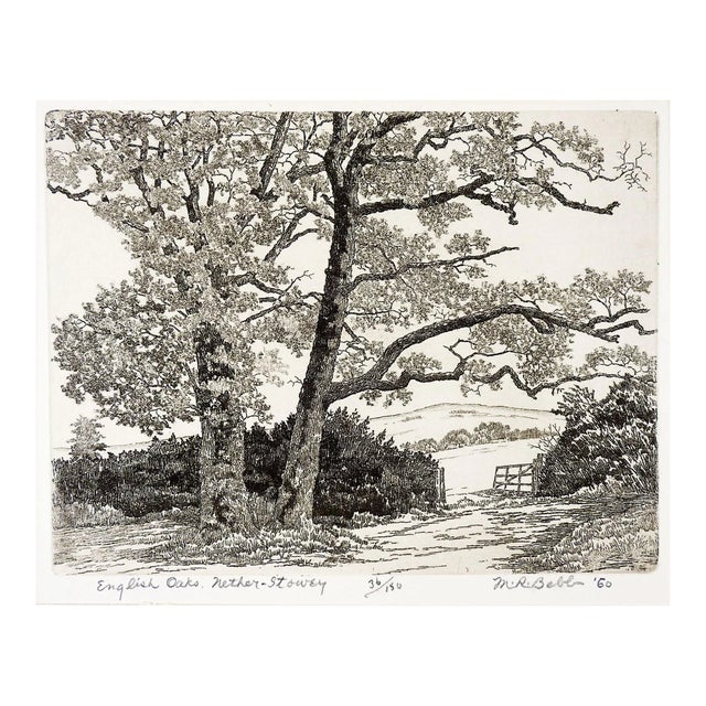 Vintage 1960 Maurice Bebb English Oaks Aquatint Etching For Sale
