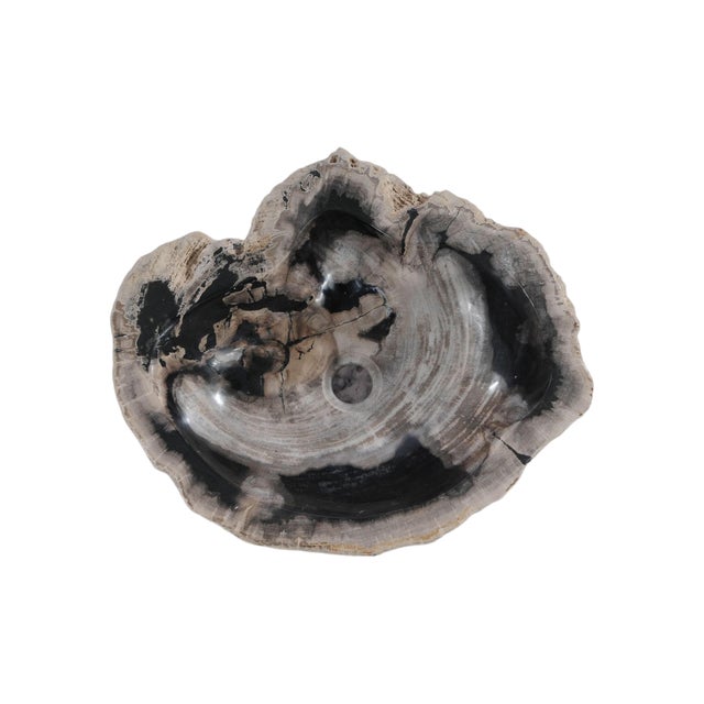 Petrified Wood Stand Alone Wash Basin by Xyleia Petrfied Wood For Sale - Image 4 of 9