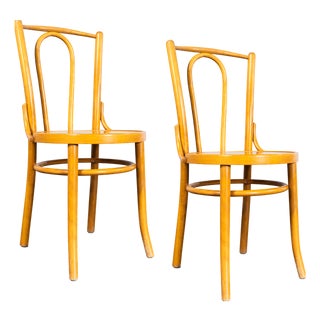 Vintage Bentwood Dining Chairs, 1970s, Set of 4 For Sale