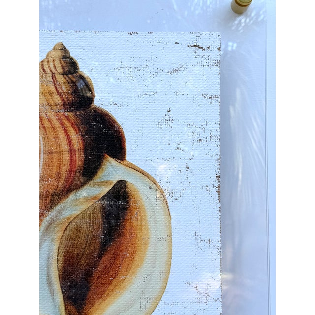 Textile Golden Conch Shell - Hand-Executed Textured Wall Art | Michele Stone Collection For Sale - Image 7 of 8