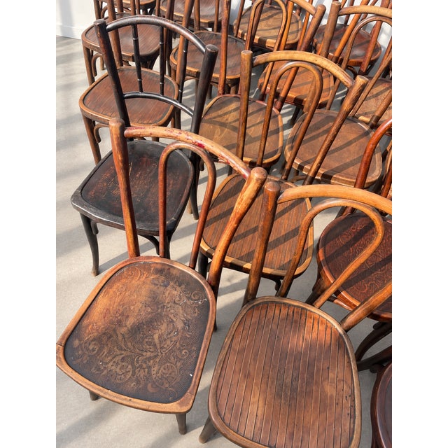 French Wood Bistro Chairs in the style of Thonet, France, 1940, Set of 60 For Sale - Image 3 of 13