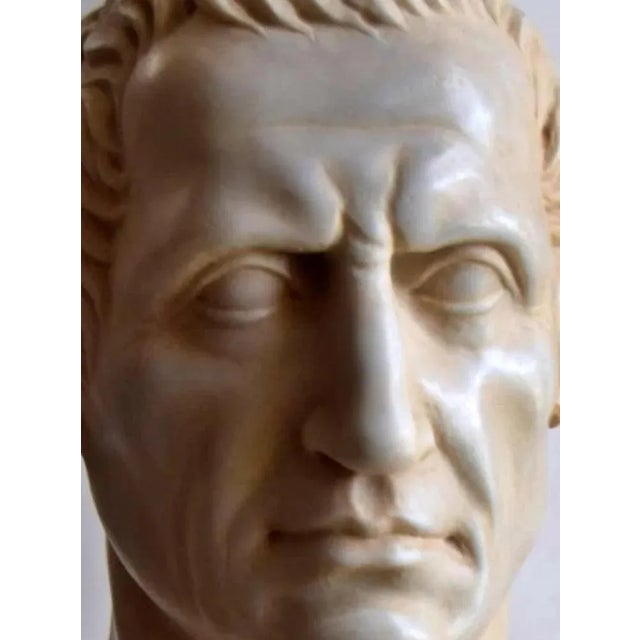 Italian Artist, Caesar Bust, Early 20th Century, Carrara Marble For Sale - Image 4 of 6