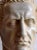 Italian Artist, Caesar Bust, Early 20th Century, Carrara Marble For Sale - Image 4 of 6